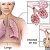 Post: PNEUMONIA: CAUSES/MODE OF TRANSMISSION, SYMPTOMS AND ITS EFFECTSPneumonia is a serious infection...
